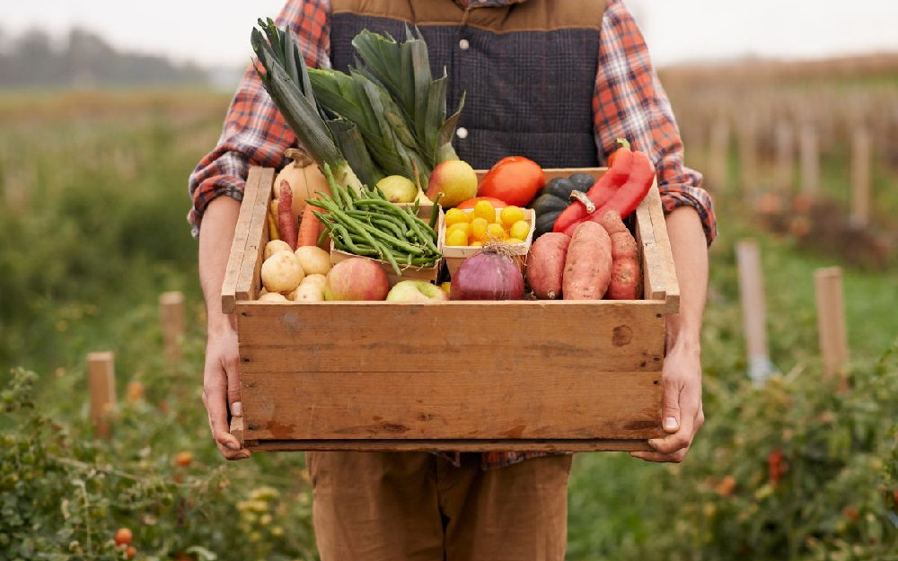 image (5)